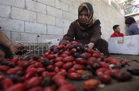So How Exactly Do Dates Grow Anyway Huffpost Life