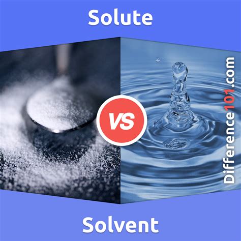Solute Vs Solvent 5 Key Differences Pros Cons Examples
