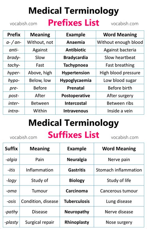 Solution Medical Terminology Combining Forms Suffixes Prefixes