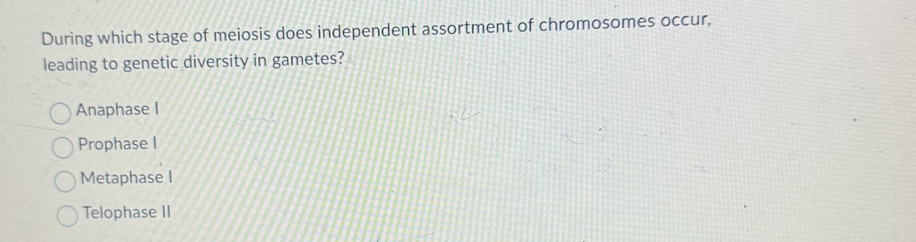 Solved How Does Independent Assortment Occur During Meiosis A