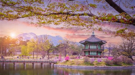 South Korea In June Weather Tips More Bookmundi