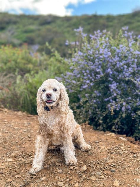 South Lake Park Updated July 2025 206 Photos Amp 28 Reviews 975