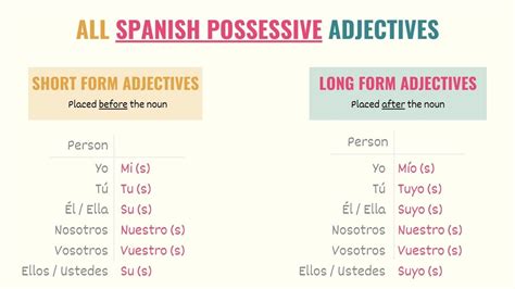Spanish Possessive Adjectives A Simple Definitive Guide Spanish Possessive Adjectives A Simple Definitive Guide