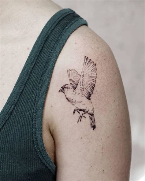 Sparrow Tattoo Images Browse 8 014 Stock Photos Vectors And Video Adobe Stock