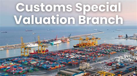 Unlocking the Importance of a Special Valuation Branch in Financial Markets