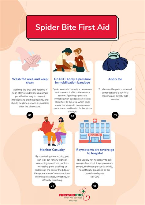 Spider Bites When To Worry Symptoms First Aid