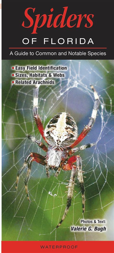 Spiders Of Florida Quick Reference Publishing Retail