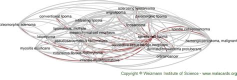Spindle Cell Lipoma Disease Malacards Research Articles Drugs