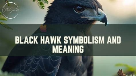 Spiritual Meaning Of Black Hawk Power Protection