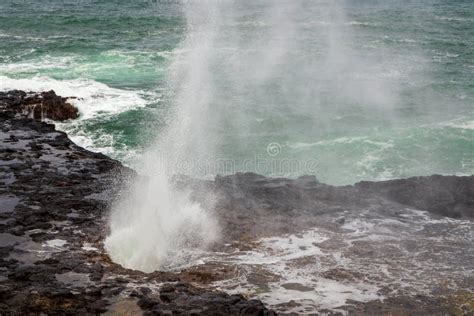 Spouting Horn Park On Kauai Island Stock Photo Image Of Lava Ocean Spouting Horn Park On Kauai Island Stock Photo Image Of Lava Ocean