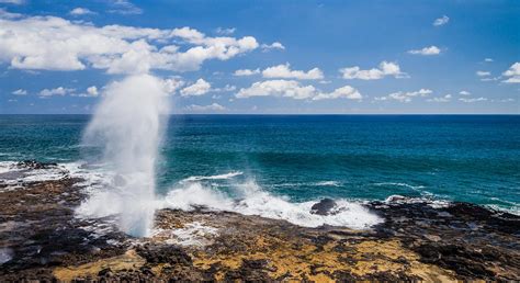 Exploring the Charm of Spouting Horn Park: A Must-Visit Natural Attraction