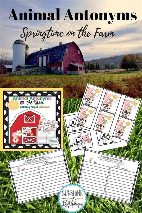 Spring Antonyms Farm Match Up Elementary Activities Fun Reading