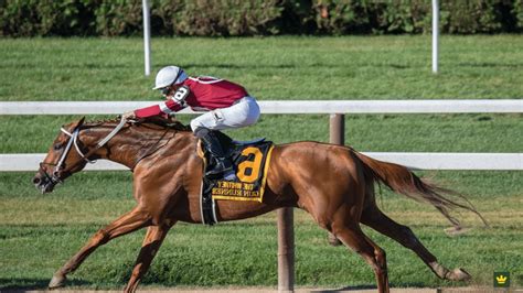 Sprintvalley The Speed Fueled Virtual Horse Racing Thrill Youtube Sprintvalley The Speed Fueled Virtual Horse Racing Thrill Youtube