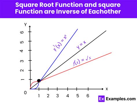 Square Root Function Examples