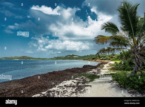 St Croix Jobs Virgin Island At Tawana Tibbs Blog St Croix Jobs Virgin Island At Tawana Tibbs Blog