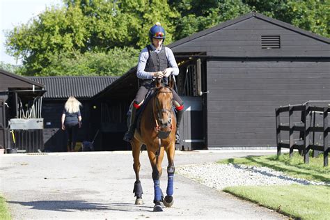 Stable Tours Alan King Racing Dual Purpose Racehorse Trainer