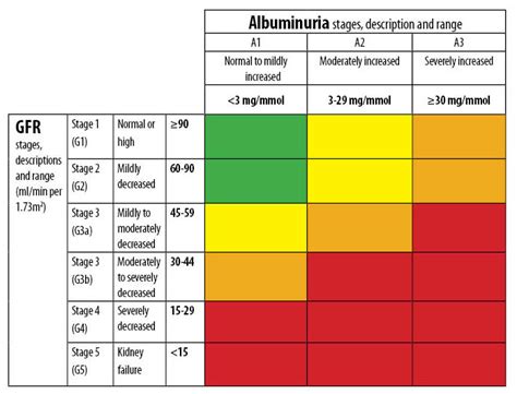 Stages Of Chronic Kidney Disease According To Nice Gu Vrogue Co