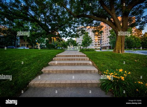 Stairs And Tree In A Small Park Near Foggy Bottom Washington Dc Stock