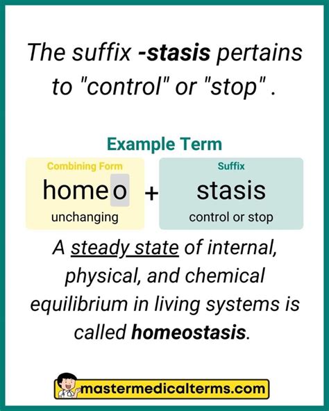 Stasis Medical Term