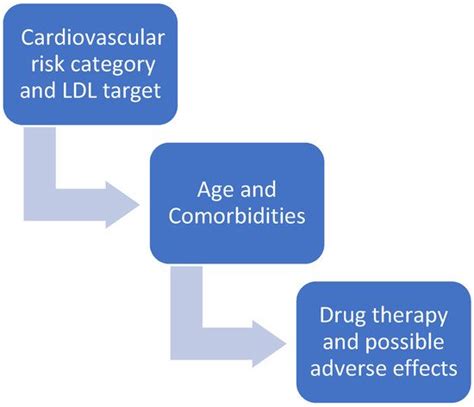 Statins In High Cardiovascular Risk Patients Encyclopedia Mdpi