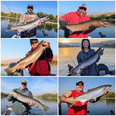 Steelhead Fishing Report Columbia Clearwater Snake Rivers Steelhead Fishing Report Columbia Clearwater Snake Rivers