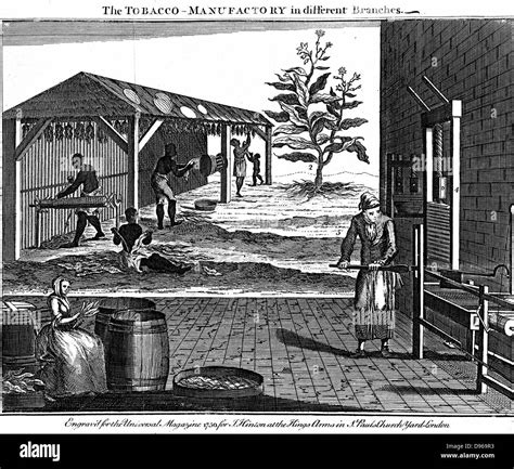 Sterling Virginia Hi Res Stock Photography And Images Alamy Sterling Virginia Hi Res Stock Photography And Images Alamy