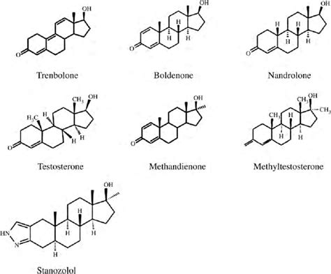 Steroid Definition Structure Types Britannica