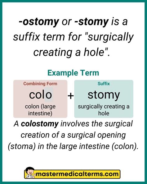 Stomy Medical Term Explained