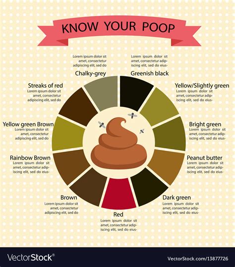 Stool Color Chart What Different Poop Colors Mean 25 Doctors