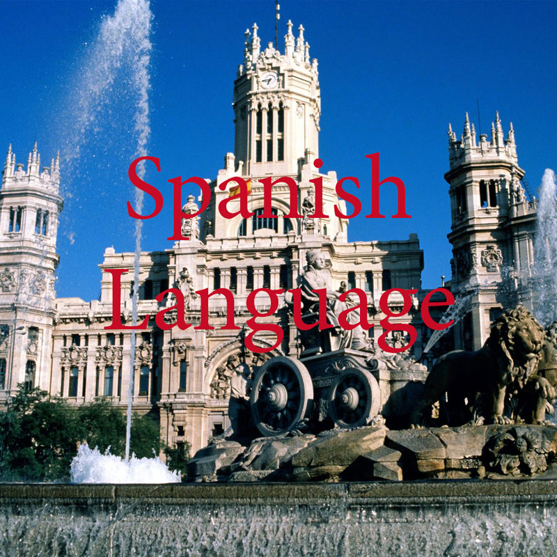 Store In Spanish Language