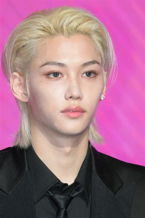 Stray Kids Members Felix Age Terry Georgina