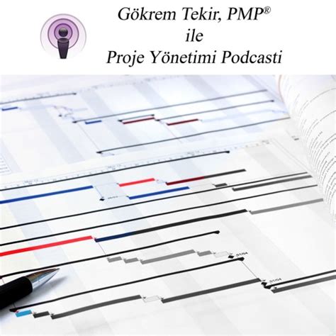 Stream Episode 48 Matris Organizasyon Yap Lar By Project Management