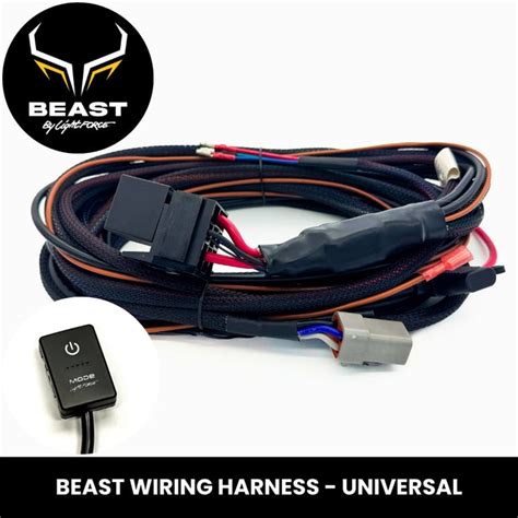 Street Beast Wiring Harness Installation