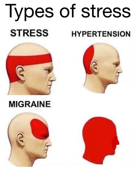 Stressed Meme Templates Imgflip