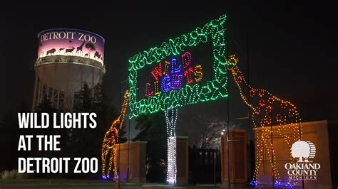 Stroll Through A Sparkling Safari At Detroit Zoo S Wild Lights Metro Parent