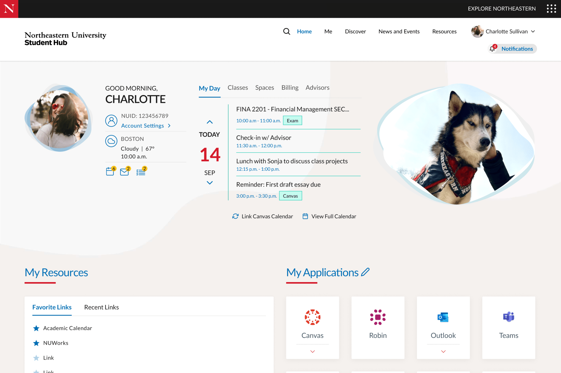 Student Hub Login Northeastern Login Portal Info