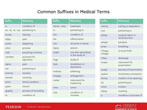 Suffix Medical Term