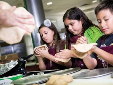 Summer Programs College Of Health Solutions