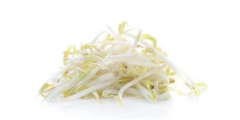 Sunny Creek Mung Bean Sprouts Products Lowes Foods To Go Local And Fresh Same Day Grocery Pickup And Delivery