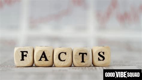 Surprising Facts About Loan Officers Good Vibe Squad Surprising Facts About Loan Officers Good Vibe Squad