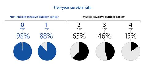 Bladder Cancer Survival Rate: What You Need to Know