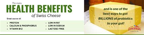 Swiss Cheese Health Benefits
