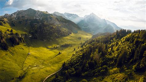 Adult Content Privacy Trends in Swiss Windows