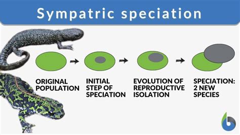 5 Sympatric Speciation Examples