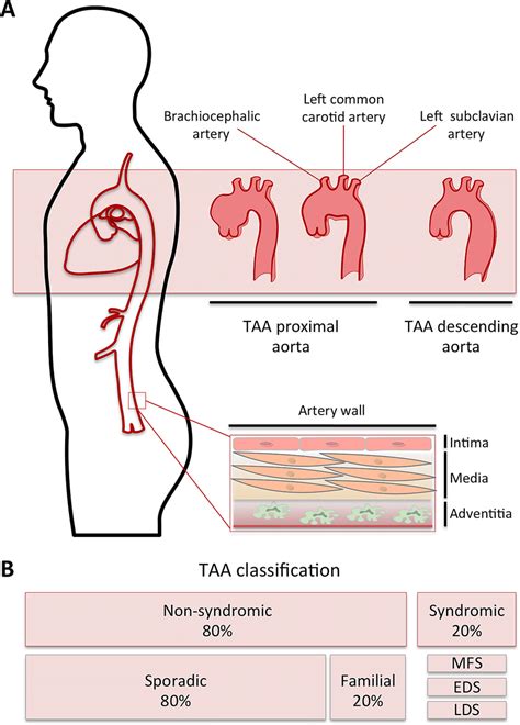 Taa Medical Abbreviation