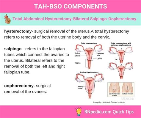 Tah Bso Total Abdominal Hysteretomy Bilateral Salpingo Oophorectomy