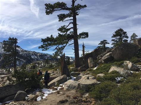 Tahoe Basin Altitude Training Thrilling High Peak Secrets Tahoe Basin Altitude Training Thrilling High Peak Secrets