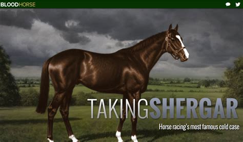 Taking Shergar Horse Racing S Most Famous Cold Case Wins National Award Equimanagement