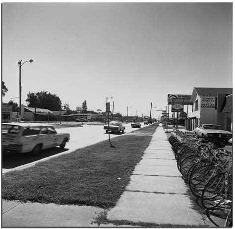 Tampa Bay Rays Update N Dale Mabry For Years North Dale Mabry Has Been One Of Those Stretches Of Tampa That Works But Never Quite Dreamed Big Functional Wide