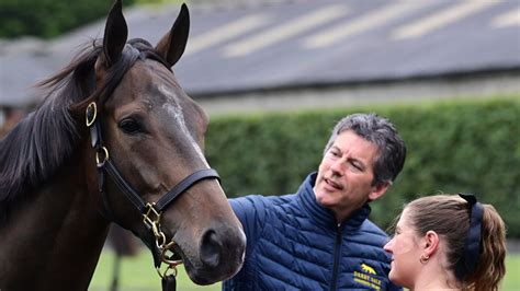 Tattersalls Ireland Reintroduces Part Ii Session To Derby Sale And